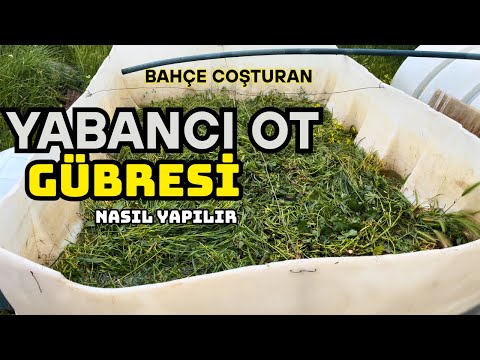 Yabancı Otları Atmayın! İşte Mükemmel Gübre Tarifi