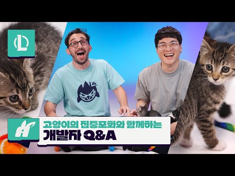 고양이의 집중포화와 함께하는 개발자 Q&A | 리그 오브 레전드