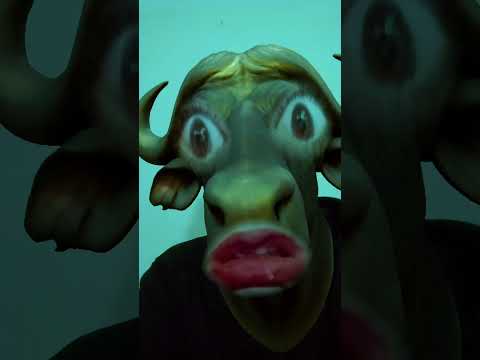 EL🌳🐂TORRO♉BABA 🌱 YAGA🌿PATIENCE🌳