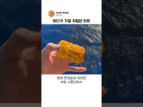 바다 한복판이 <strong>가장</strong> 위험한 <strong>진짜</strong> 이유