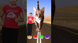 I Jump on button to monkey, goat, cow & cat - Funny cute girl magic