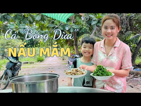 Cùng Hương Làm Món Cá Bóng Dừa Nấu Mắm - Cực Ngon