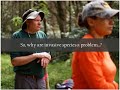 Invasive Species and Their Impact