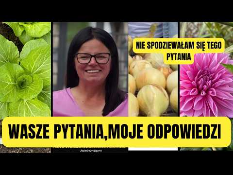 WASZE PYTANIA,MOJE ODPOWIEDZI | NIE SPODZIEWAŁAM SIĘ TEGO PYTANIA   | Kasia in