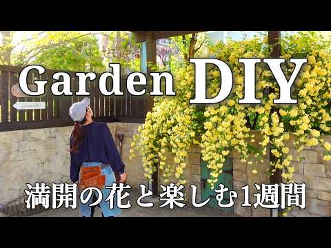 【庭DIY】モッコウバラが咲く庭で｜看板・装飾・ガーデンゲート