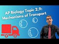 Transport Mechanisms in Cells