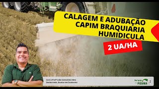 Calagem e adubação para capim Braquiaria humidicola 2 UA ha