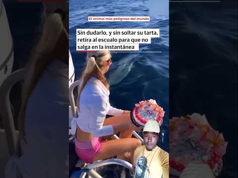 EL ANIMAL MAS PELIGROSO DEL MUNDO #shorts #memes #funnyvideo #funny #shortvideo