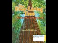 Redwood Trees and Their Ecosystem