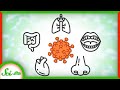 Understanding COVID-19 and ACE2 Receptors