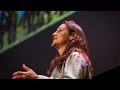 Elephant Social Structures and Behaviors