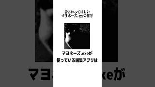 マヨネーズ.exeに関する雑学【本人解説】