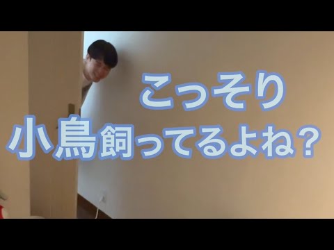 【ルームシェア】「大丈夫、内緒にしとくから」って言いにくる