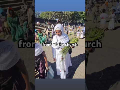 Ethiopia’s Mystery Grass