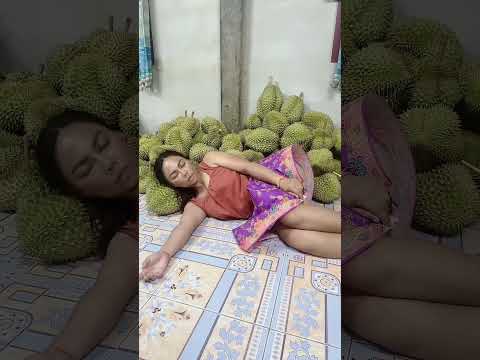 นอนเฝ้าทุเรียนย่านคนมาลัก #คลิปตลก #funny #memeclip #สายฮา #comedy #memes #fun #funnyclips #prank ￼