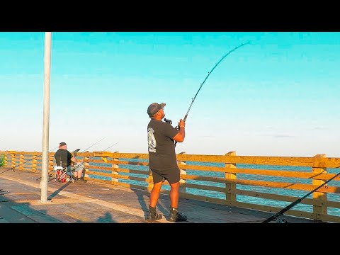 Pier Fishing for the Coveted 'Texas Inshore Grouper' and Bull Reds