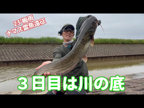 ナマズ&雷魚23'梅雨遠征3日目①【519】虫くん釣りch