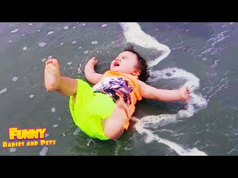 Laugh Out Loud! Funny Baby Fails Playing Outside & at the Beach! Funny Baby and Pets