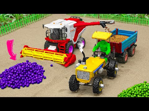 How To Harvest beans? | Diy tractor best purple beans Harvesting machine new technology