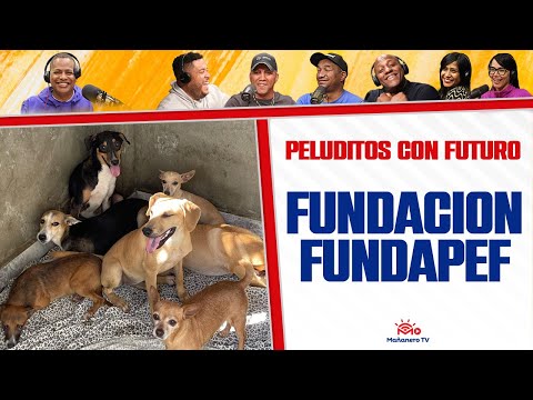 Peluditos con Futuro (Fundación Fundapef)