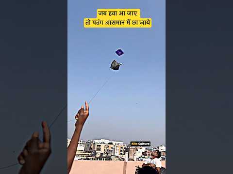 Superb Day For Kite Fighting #viralvideo #kite #kiteflying #shorts