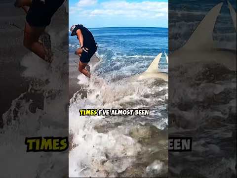 Shark tries to BITE my toe off video thumbnail