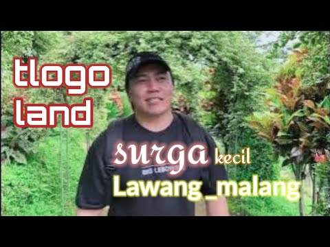 wisata tlogo land || tempat yg sejuk dan indah