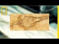 Ancient Discoveries and Evolution