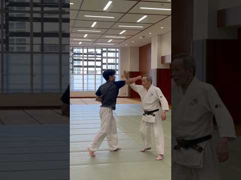 Aikido’s against punches techniques. Please check full video!! #aikido #martialarts #合気道 #karate