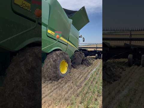 Mom Got Stuck! #wheatharvest #customharvest #americanharvest #entertainment #agriculture