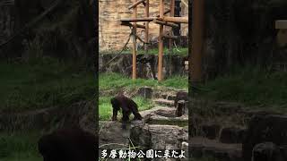 【多摩動物公園】多摩動物公園に行ってきたよぉ