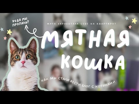 Кошка Мята: как мы стали блогерами?😍🐾