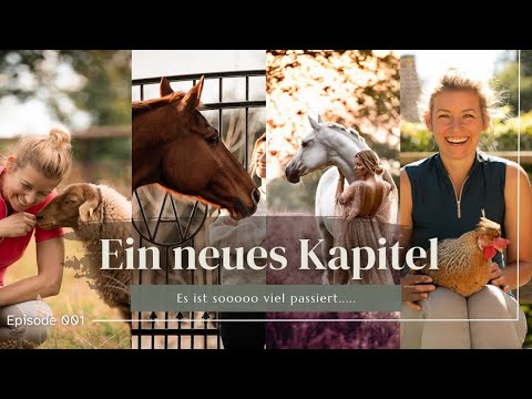 Ein neues Kapitel beginnt - Es war Zeit loszulassen