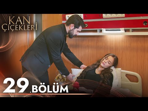 Kan Çiçekleri 29. Bölüm