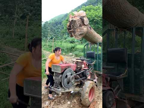 agricultural vehicle transporting wood