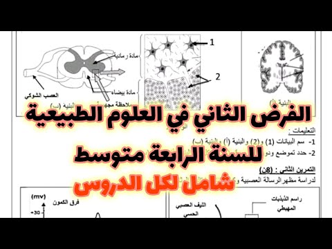 الفرض الثاني في العلوم الطبيعية للسنة الرابعة متوسط شامل لكل دروس الاتصال العصبي و التغذية