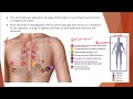 EKG Interpretation and Cardiac Function