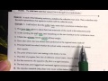 Collective Nouns and Their Usage