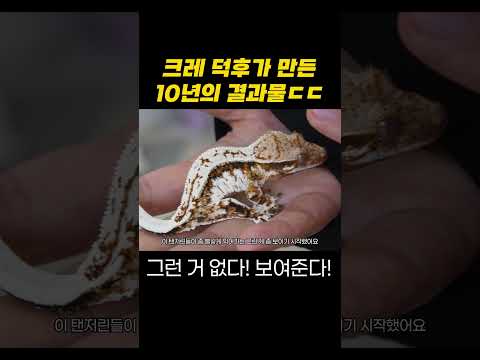 <strong>과연</strong> 그의 결과물은??