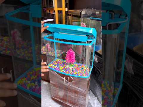 கம்மி விலையில் வீட்டுக்கு TANK SETUP பண்ணலாம் #cloningaqua #aquariumfishmarket #fishaquarium #fish