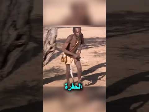 قرد صغير يكشف سر النجاة في قلب الصحراء!