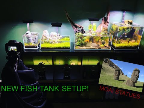 Nano Fish Room - New Setup for Neocaridina Shrimp Nano Cube Setup *Beginner Aquascape*  UNS Aquariums (Non Co2)


Here we have a 1 Gallon UNS Nano Tan