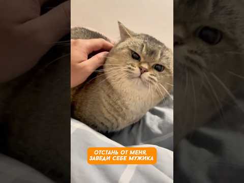 Музейный экспонат, руками не трогать!