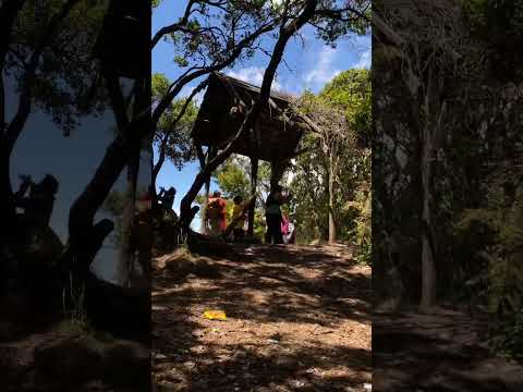 #campping #mountainswiev #hiking #pangrango