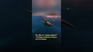 Tortuga cachetea a buzo