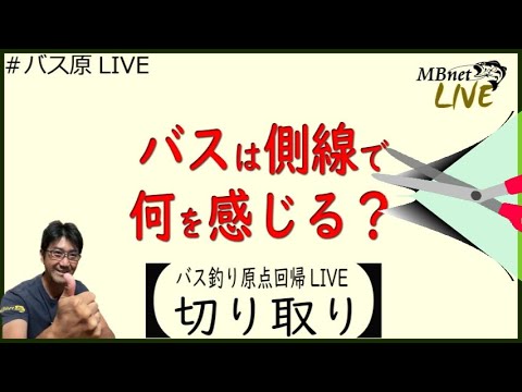 バスの側線は何を感じるの？【バス釣り原点回帰Live切り取り】