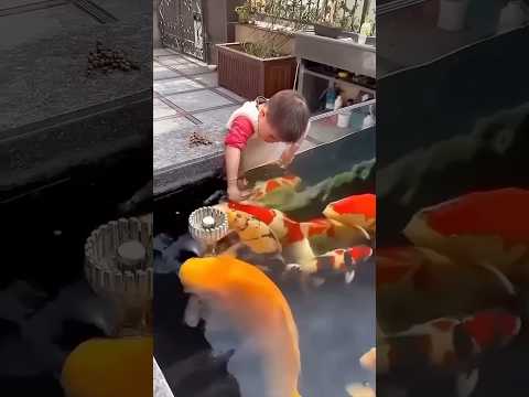 Adik main ikan orange #riaab22 #trending