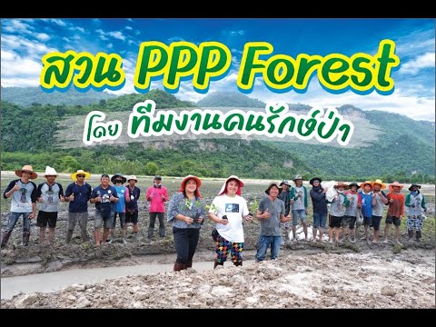 สร้างป่า สร้างพื้นที่สีเขียว สวน PPP Forest l คนรักษ์ป่า