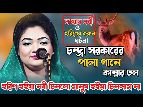 চন্দ্রা সরকারের পালা গানে কান্নার ঢল | মায়ার নবী ও হরিণের করুন ঘটনা | Chondra Sorkar | Pala gaan