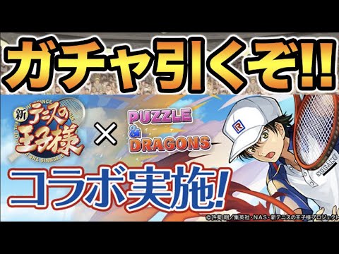 【生放送】テニスの王子様ガチャ！めっちゃコンプまで引くぞ！！【スー☆パズドラ】